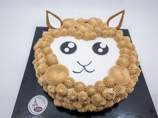 Alpaca taart
